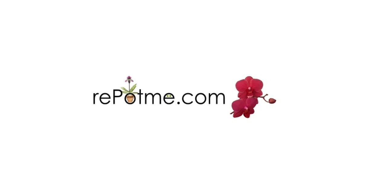 REPOTME Discount Code — 20% Off (Sitewide) in Nov 2023