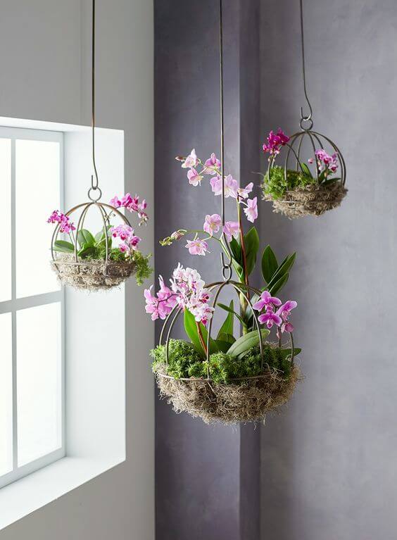 17 DIY Orchid Planter Ideas