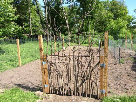 36 Rustic Garden Gates Made With Branches - 261