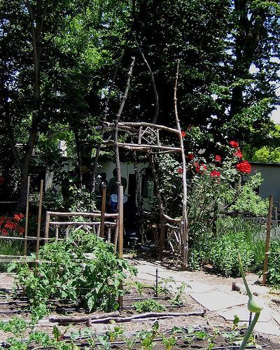 36 Rustic Garden Gates Made With Branches - 279