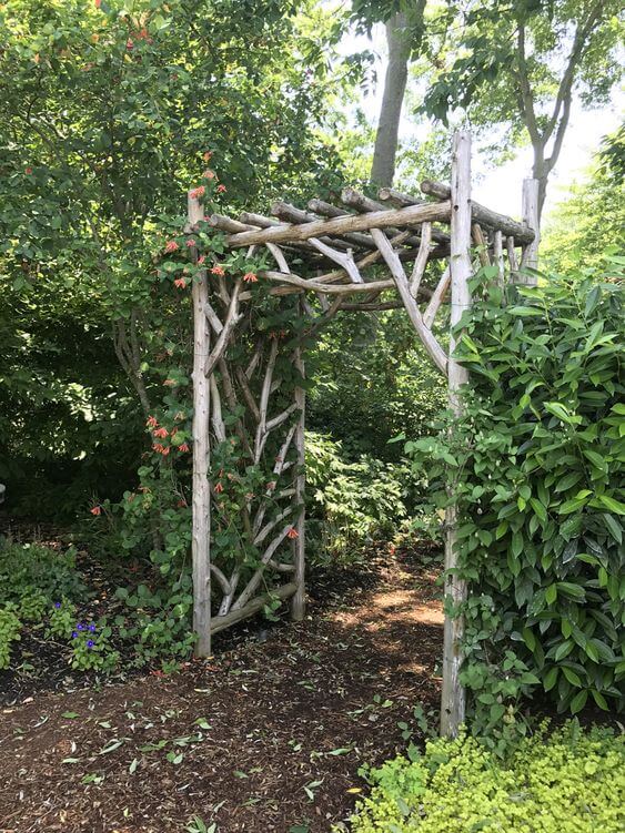 36 Rustic Garden Gates Made With Branches - 287