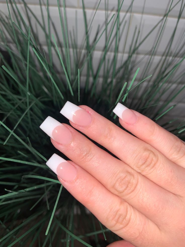 Medium French Tip Acrylic Nails
