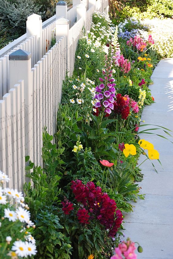 A Flowering Walkway
