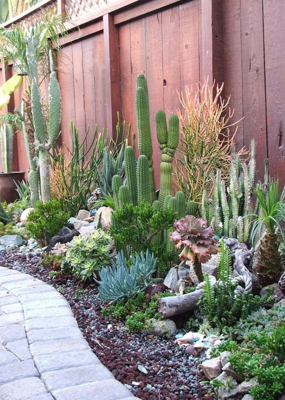 Desert Gravel Garden Beds