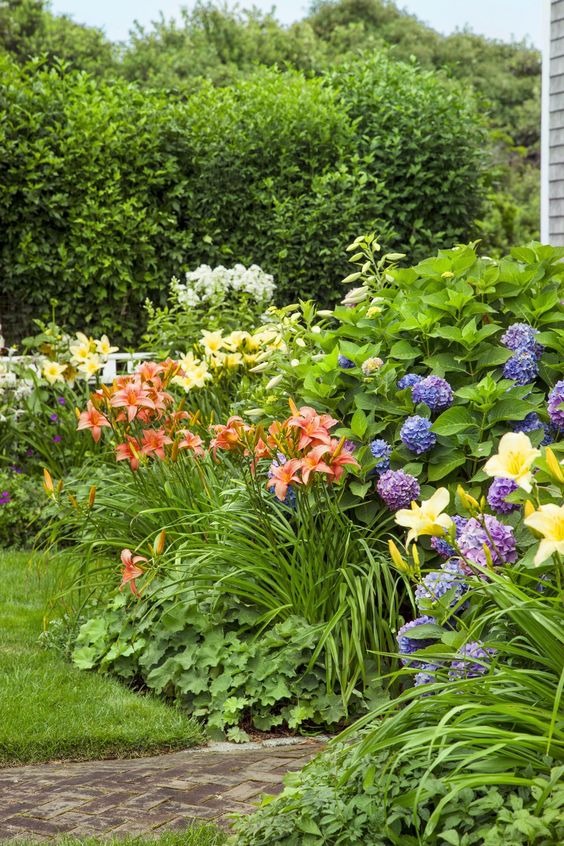 Flowering Perennials