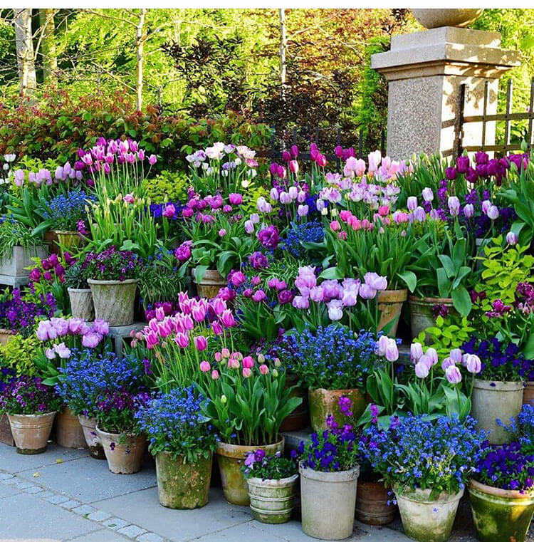 20 Beautiful Container Garden Planting Ideas