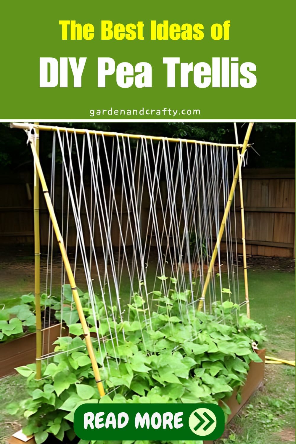 The Best Ideas of DIY Pea Trellis The Best Ideas of DIY Pea Trellis