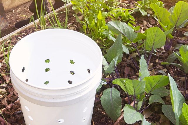 Now You Can Grow Stackable Mushroom Thanks to This Detailed Guide Drill Holes