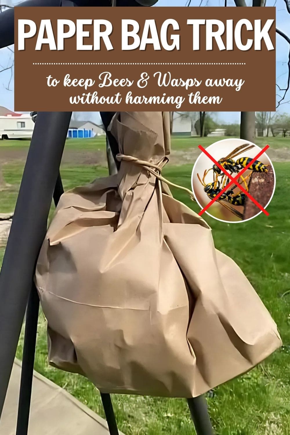The Simple Paper Bag Trick to Keep Bees and Wasps Away - Without Harming Them