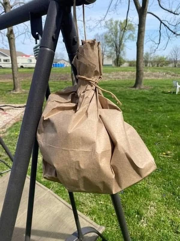 The Simple Paper Bag Trick to Keep Bees and Wasps Away - Without Harming Them
