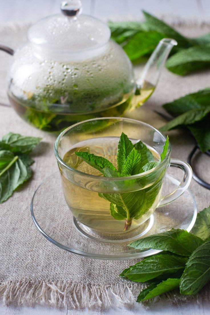 Here’s 10 Reasons You Should Put a Peppermint Plant in Your Entryway