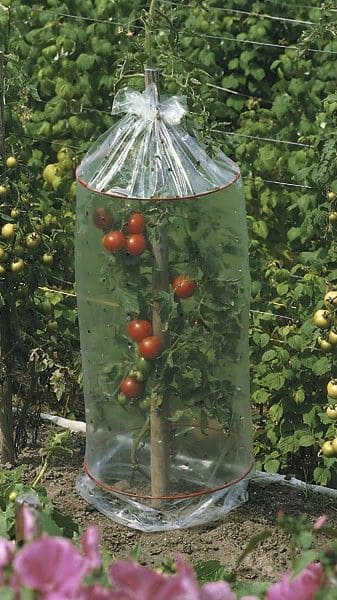 Clear Plastic Tomato Wrap Greenhouse