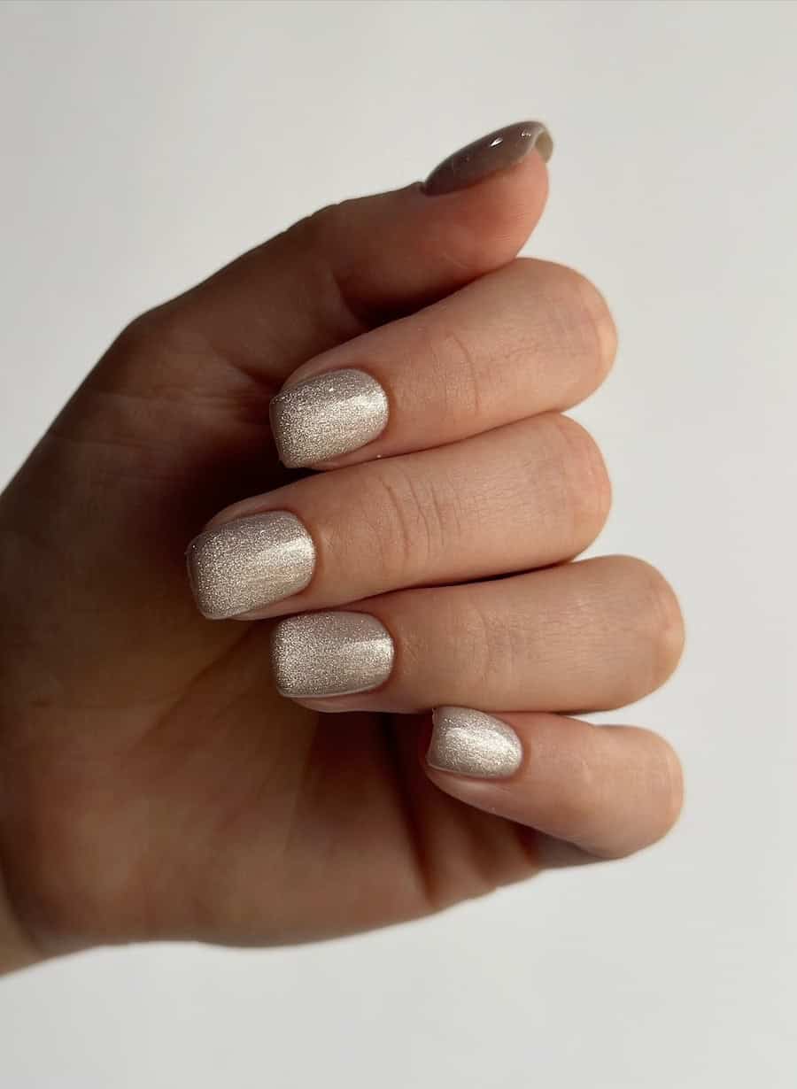 shimmering velvet white polish on short nails