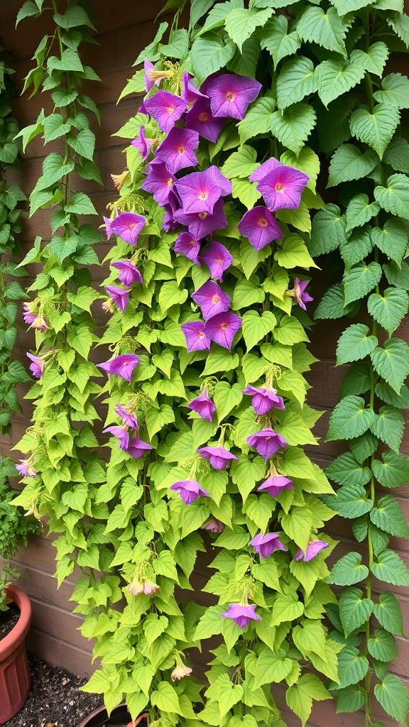 3. A Cascade of Enchantment: The Beauty of Purple Bell Vines